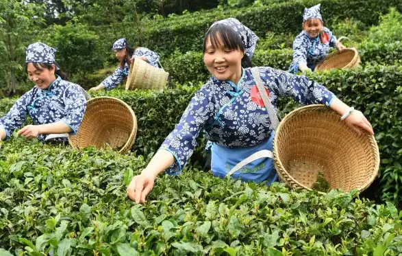 上海网红打卡地夜生活指南：本地休闲攻略带你解锁魔都最潮玩法
