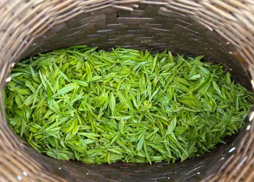 上海苏州河漫步哪家茶馆值得坐一下午？临窗与安静推荐