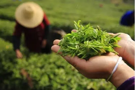 上海深夜游泳到底值不值？我连泡三晚，有些话不吐不快