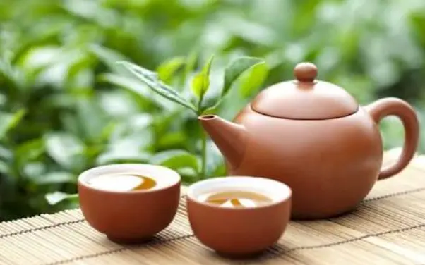 上海复兴中路探店攻略：老洋房打卡+美食路线，别再当冤大头了😤